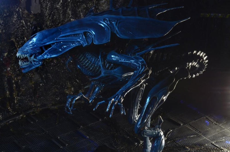Aliens Xenomorph Queen Deluxe Action Figure (preorder Q4) - Collectables > Action Figures > toys -  Neca