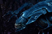 Aliens Xenomorph Queen Deluxe Action Figure (preorder Q4) - Collectables > Action Figures > toys -  Neca
