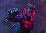Spider-Man: Across the Spider-Verse S.H.Figuarts Miles G. Morales Action Figure (preorder Q4 2025) - Collectables > Action Figures > toys -  Bandai