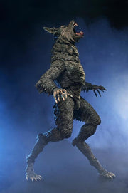 The Howling Ultimate Werewolf Action Figure (preorder Q4 2025) - Collectables > Action Figures > toys -  Neca