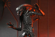Alien: Romulus Ultimate Xenomorph XX121 ( Preorder Q4 2025) - Collectables > Action Figures > toys -  Neca