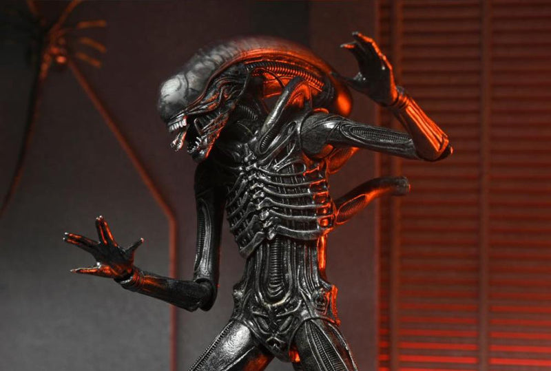 Alien: Romulus Ultimate Xenomorph XX121 ( Preorder Q4 2025) - Collectables > Action Figures > toys -  Neca