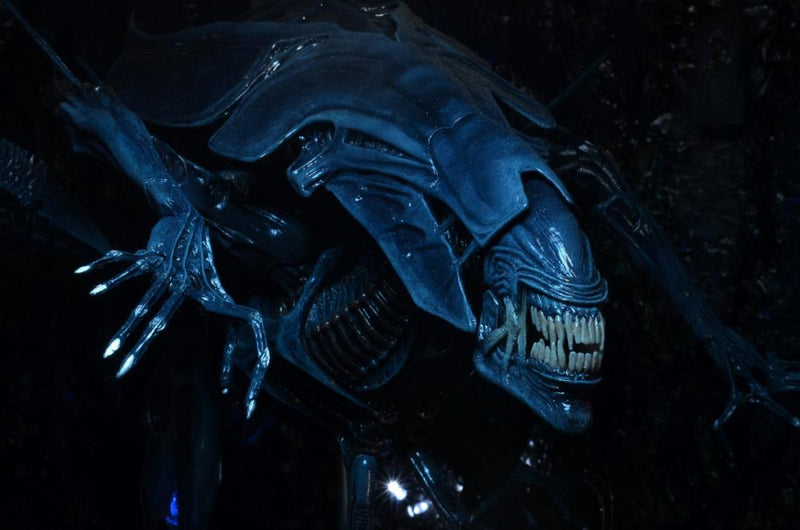 Aliens Xenomorph Queen Deluxe Action Figure (preorder Q4) - Collectables > Action Figures > toys -  Neca