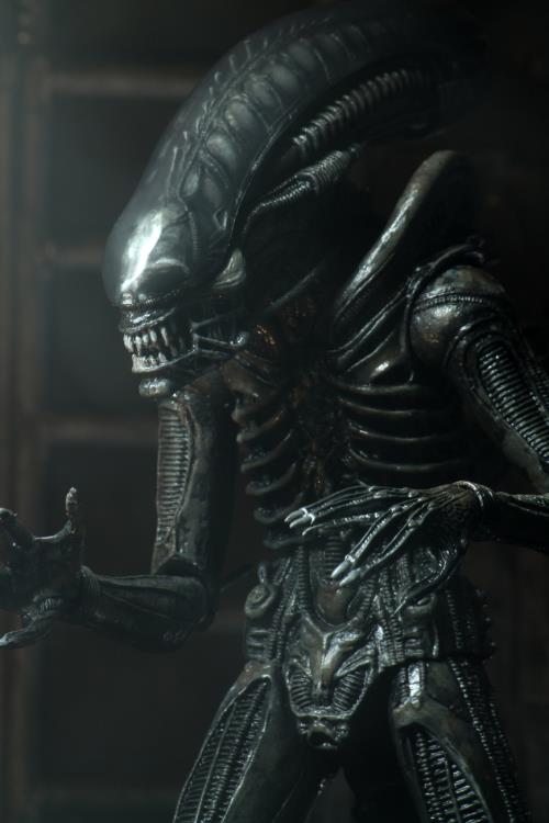Neca - Alien - Ultimate 40th Anniversary Big Chap - Action & Toy Figures -  Neca