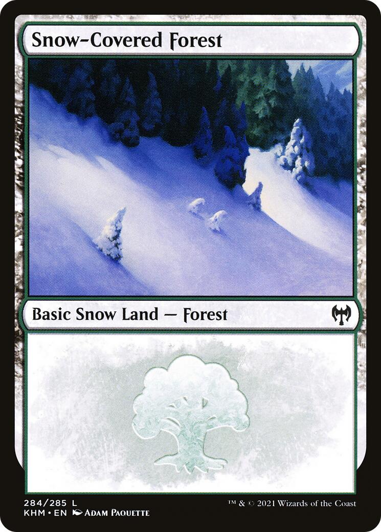 Snow-Covered Forest (284)