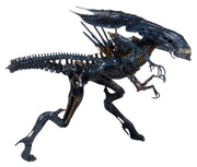 Aliens Xenomorph Queen Deluxe Action Figure (preorder Q4) - Collectables > Action Figures > toys -  Neca