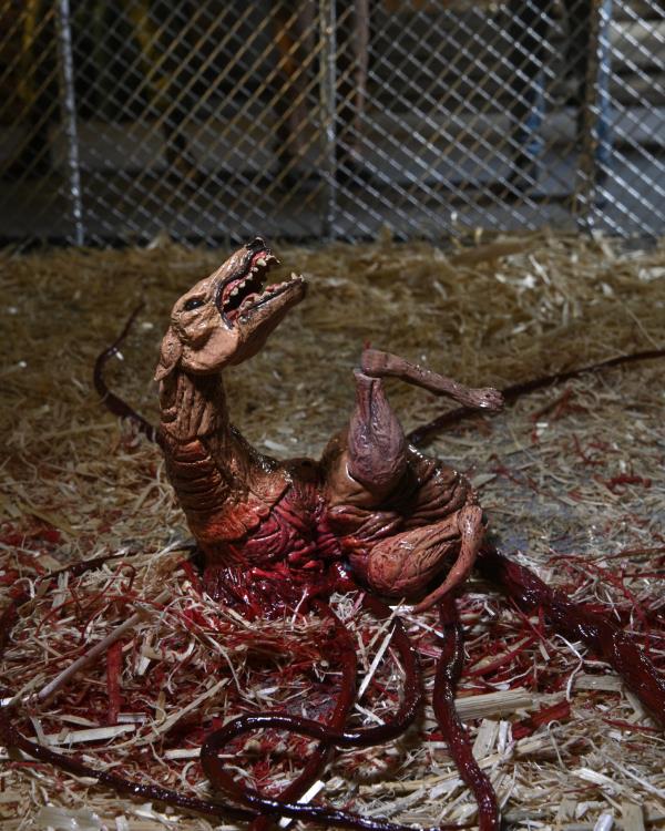 The Thing Ultimate Dog Creature Set (preorder Q4) - Collectables > Action Figures > toys -  Neca