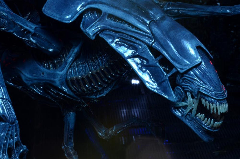 Aliens Xenomorph Queen Deluxe Action Figure (preorder Q4) - Collectables > Action Figures > toys -  Neca