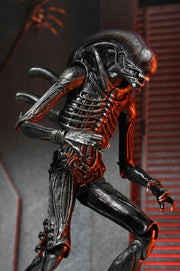 Alien: Romulus Ultimate Xenomorph XX121 ( Preorder Q4 2025) - Collectables > Action Figures > toys -  Neca