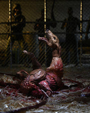 The Thing Ultimate Dog Creature Set (preorder Q4) - Collectables > Action Figures > toys -  Neca