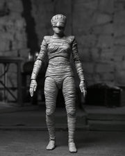 Universal Monsters Ultimate Bride of Frankenstein (Black & White) - Collectables > Action Figures > toys -  Neca