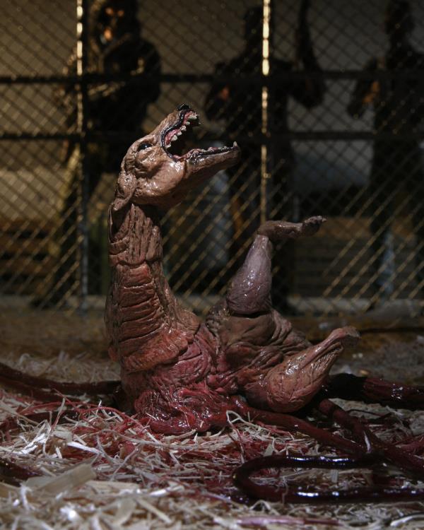 The Thing Ultimate Dog Creature Set (preorder Q4) - Collectables > Action Figures > toys -  Neca