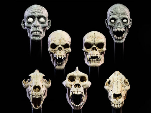 Mythic Legions: All-Stars Undead Heads Pack (preorder) - Collectables > Action Figures > toys -  Four Horsemen