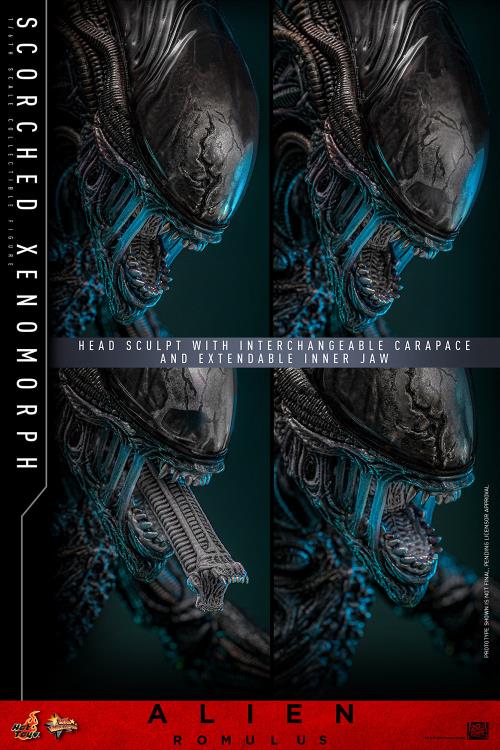 Alien: Romulus MMS784 Scorched Xenomorph 1/6th Scale Collectible Figure (preorder March 2026 ) - Collectables > Action Figures > toys -  Hot Toys