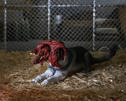 The Thing Ultimate Dog Creature Set (preorder Q4) - Collectables > Action Figures > toys -  Neca
