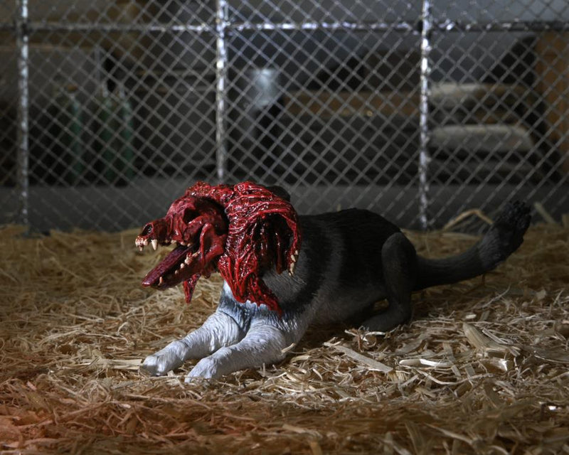 The Thing Ultimate Dog Creature Set (preorder Q4) - Collectables > Action Figures > toys -  Neca