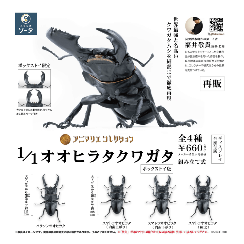 Animarie Collection - 1/1 Giant Flat Stag Beetle (Blind Box) - Collectables > Action Figures > toys -  SO-TA