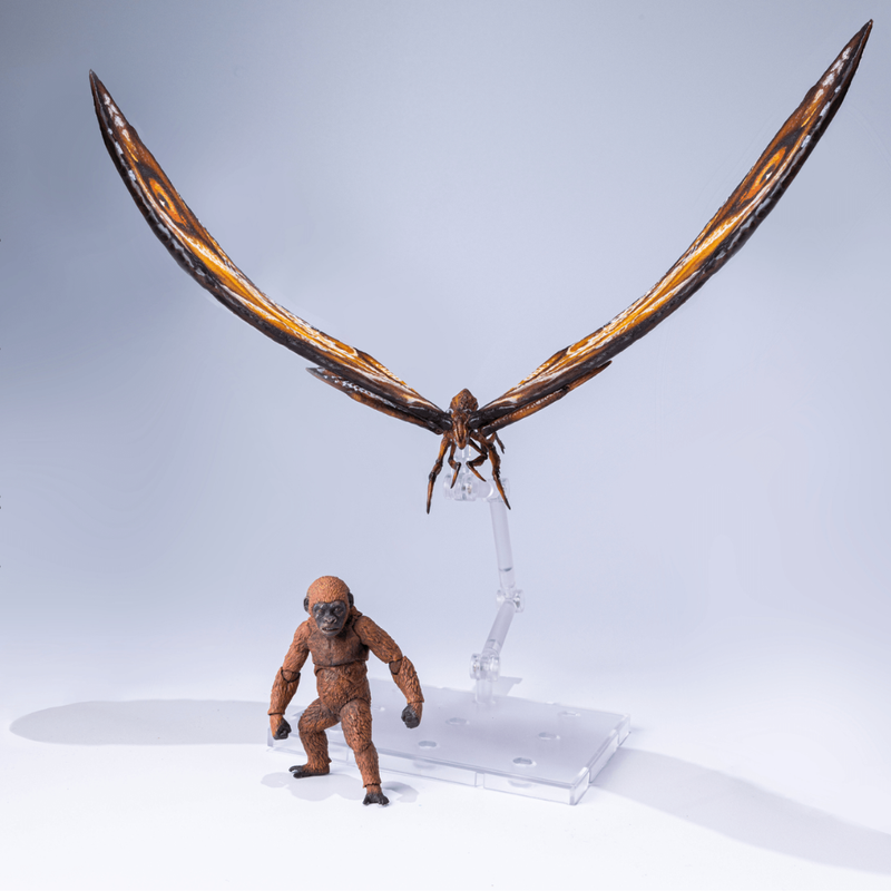 Godzilla x Kong: The New Empire - Mothra and Suko - Premium Set Action Figure (Preorder Dec 2026) - Collectables > Action Figures > toys -  HIYA TOYS