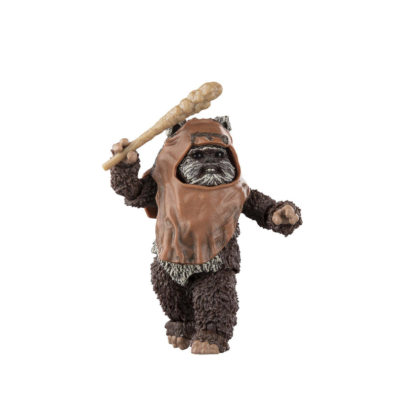 Star Wars The Black Series Wicket W. Warrick (Preorder Dec 2023) - Collectables > Action Figures > toy -  Hasbro