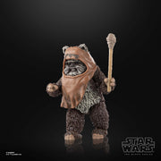 Star Wars The Black Series Wicket W. Warrick (Preorder Dec 2023) - Collectables > Action Figures > toy -  Hasbro