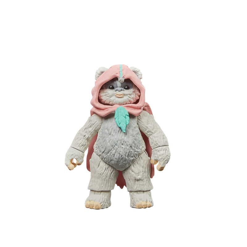 Star Wars The Vintage Collection Wicket & Kneesaa (Preorder Nov 2023) - Collectables > Action Figures > toy -  Hasbro
