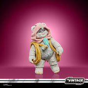 Star Wars The Vintage Collection Wicket & Kneesaa (Preorder Nov 2023) - Collectables > Action Figures > toy -  Hasbro
