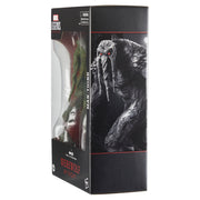 Marvel Legends Series Man-Thing Action Figure - Collectables > Action Figures > toy -  Hasbro