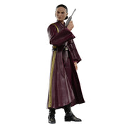 Star Wars The Black Series Padmé Amidala (preorder Q2) - Collectables > Action Figures > toys -  Hasbro