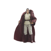 Star Wars The Vintage Collection Jedi Master Indara - Collectables > Action Figures > toys -  Hasbro