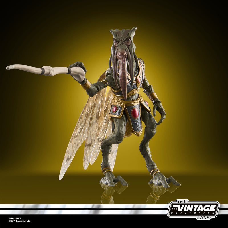 Star Wars The Vintage Collection - Poggle the Lesser (Preorder May 2026) - Collectables > Action Figures > toys -  Hasbro