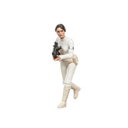 Star Wars The Vintage Collection - Padmé Amidala (Geonosis) (preorder Q4 2026) - Collectables > Action Figures > toys -  Hasbro