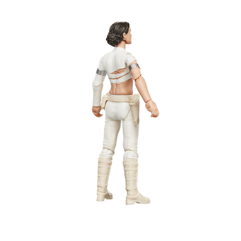 Star Wars The Vintage Collection - Padmé Amidala (Geonosis) (preorder Q4 2026) - Collectables > Action Figures > toys -  Hasbro
