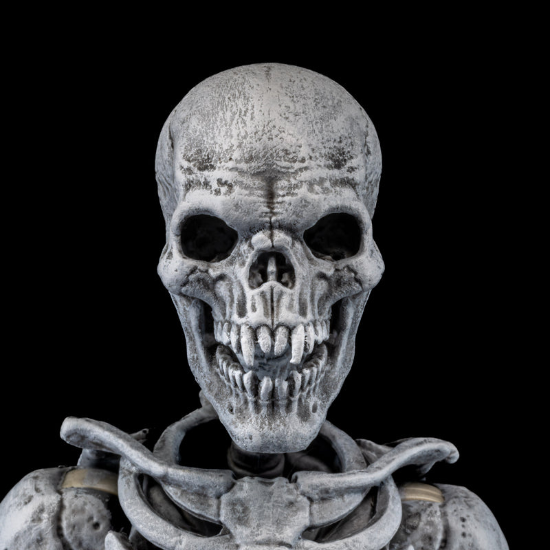 Mythic Legions - Graveyard Skeletons 4-pack - Collectables > Action Figures > toys -  Four Horsemen