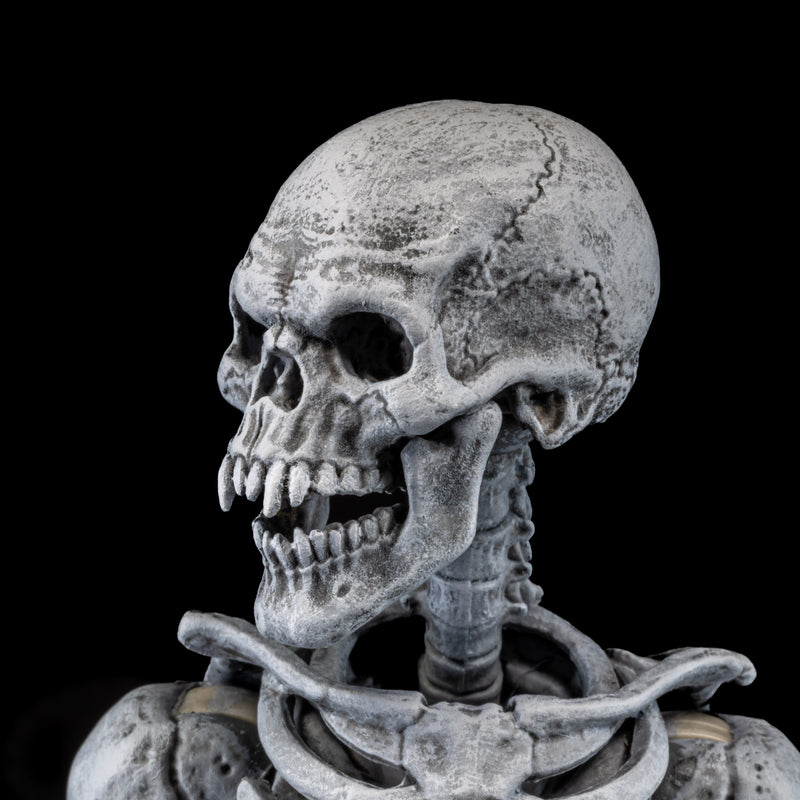 Mythic Legions - Graveyard Skeletons 4-pack - Collectables > Action Figures > toys -  Four Horsemen