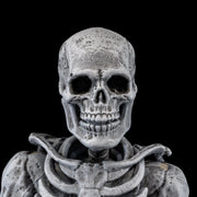 Mythic Legions - Graveyard Skeletons 4-pack - Collectables > Action Figures > toys -  Four Horsemen
