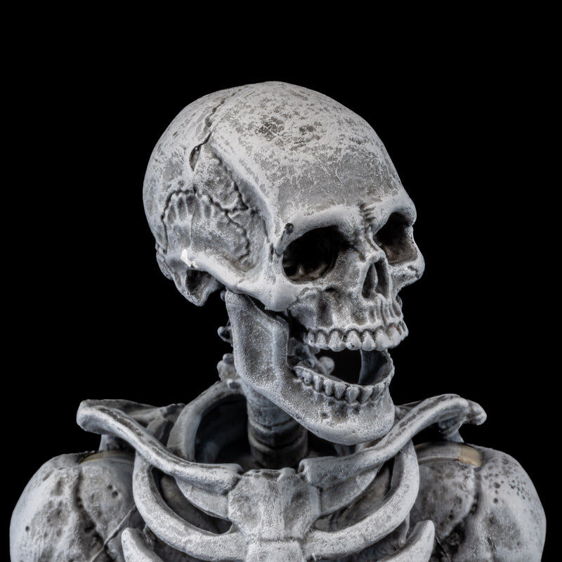 Mythic Legions - Graveyard Skeletons 4-pack - Collectables > Action Figures > toys -  Four Horsemen