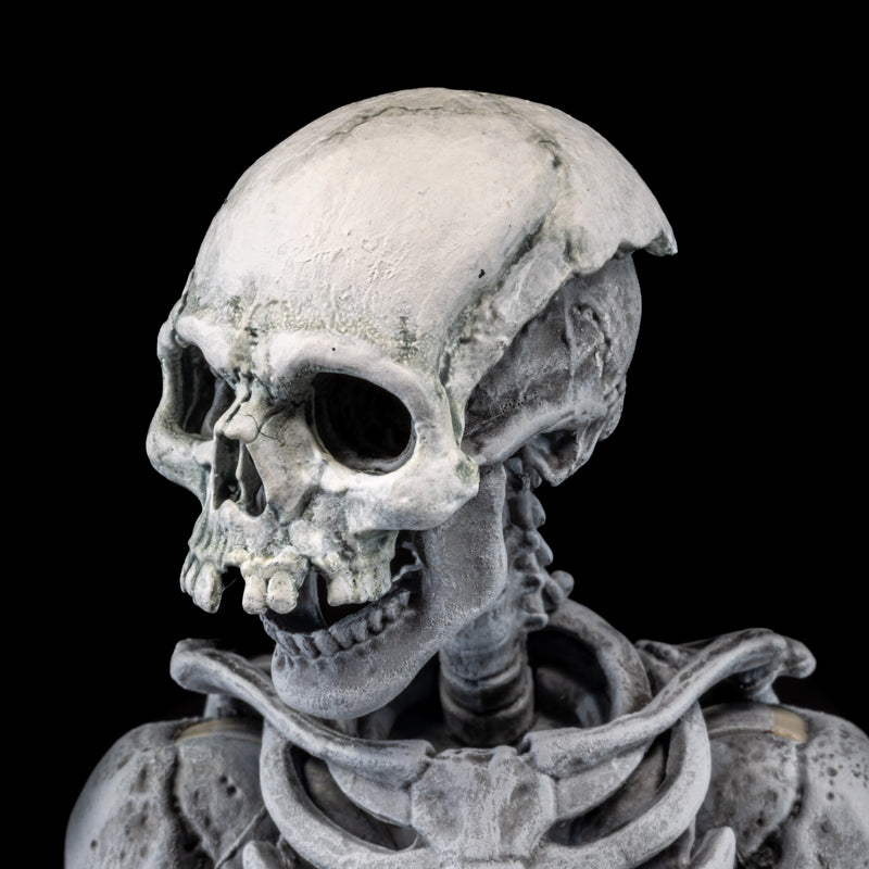 Mythic Legions - Graveyard Skeletons 4-pack - Collectables > Action Figures > toys -  Four Horsemen