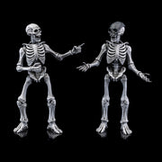 Mythic Legions - Graveyard Skeletons 4-pack - Collectables > Action Figures > toys -  Four Horsemen