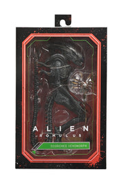 Alien: Romulus - 7" Scale Action Figure - Ultimate Scorched Xenomorph - Collectables > Action Figures > toys -  Neca