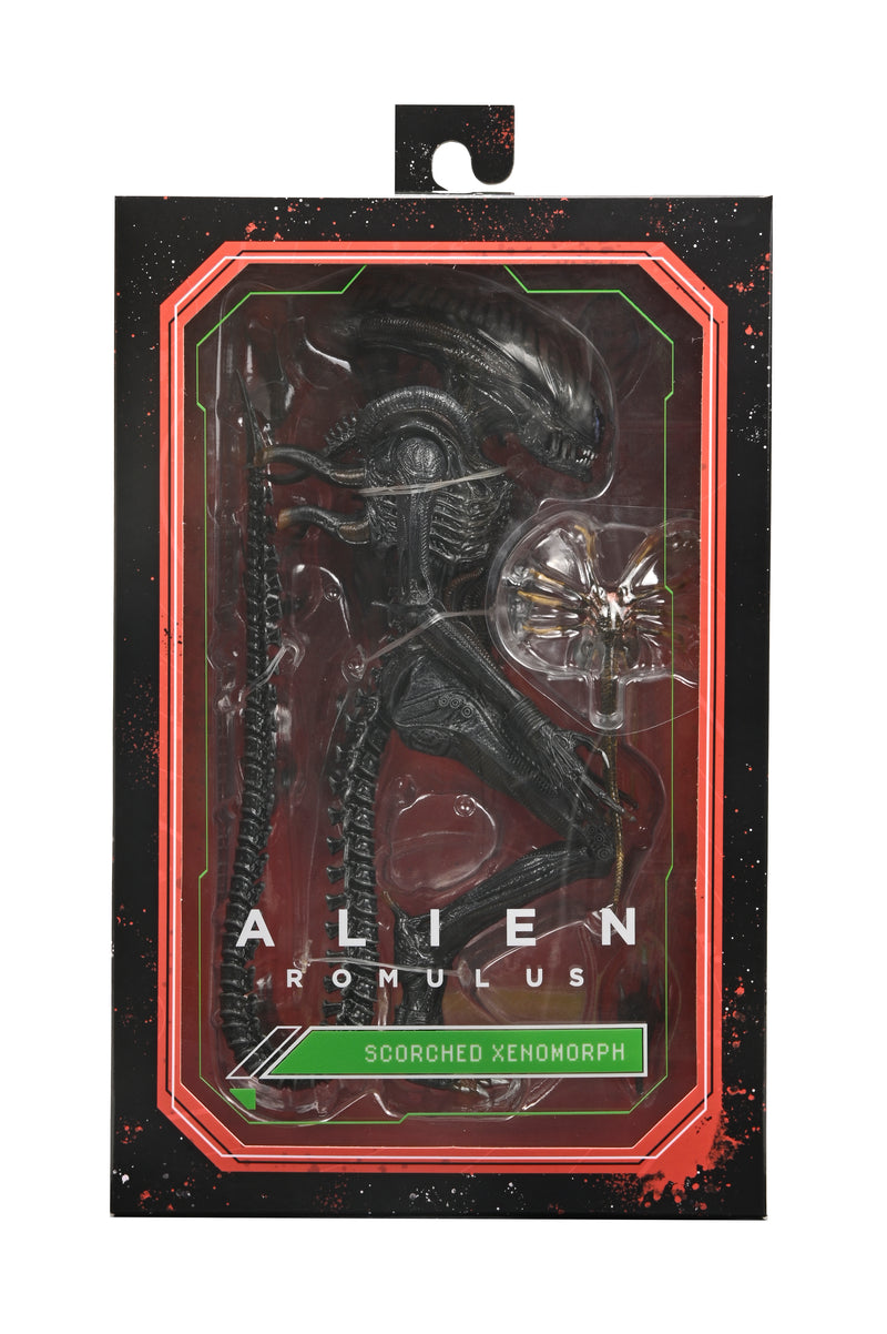 Alien: Romulus - 7" Scale Action Figure - Ultimate Scorched Xenomorph - Collectables > Action Figures > toys -  Neca