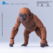 Godzilla x Kong: The New Empire - Mothra and Suko - Premium Set Action Figure (Preorder Dec 2026) - Collectables > Action Figures > toys -  HIYA TOYS