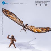 Godzilla x Kong: The New Empire - Mothra and Suko - Premium Set Action Figure (Preorder Dec 2026) - Collectables > Action Figures > toys -  HIYA TOYS