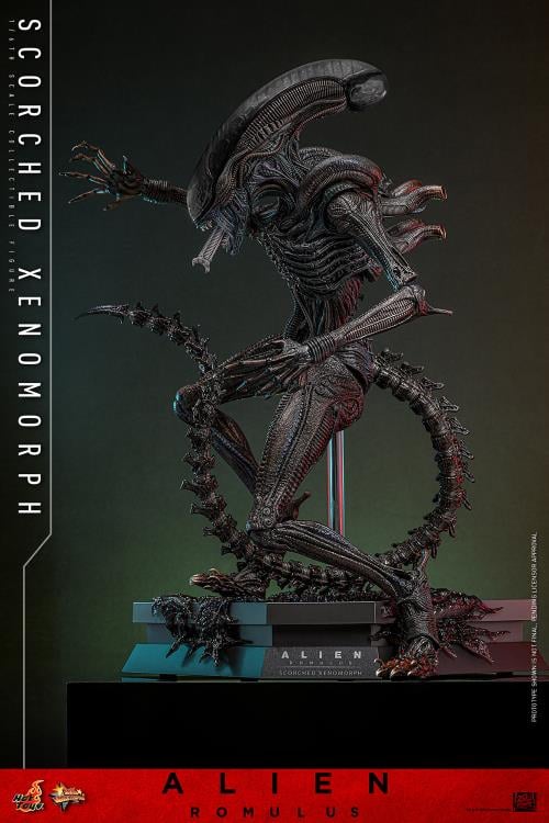 Alien: Romulus MMS784 Scorched Xenomorph 1/6th Scale Collectible Figure (preorder March 2026 ) - Collectables > Action Figures > toys -  Hot Toys