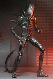 Alien: Romulus Ultimate Xenomorph XX121 ( Preorder Q4 2025) - Collectables > Action Figures > toys -  Neca