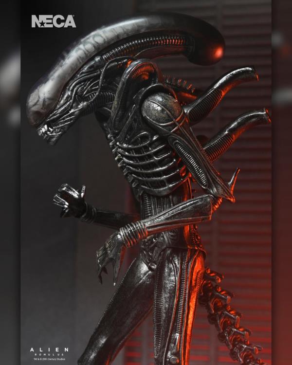 Alien: Romulus Ultimate Xenomorph XX121 ( Preorder Q4 2025) - Collectables > Action Figures > toys -  Neca