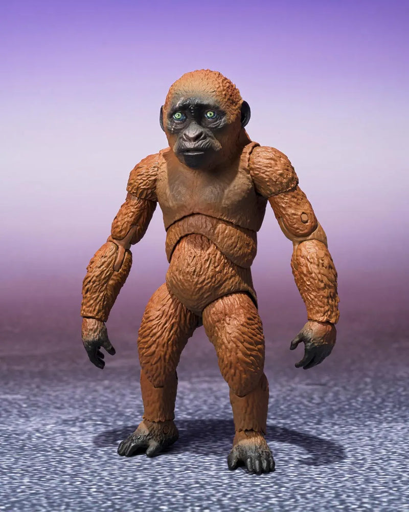 Godzilla x Kong: The New Empire S.H.MonsterArts - Suko & Mothra - Collectables > Action Figures > toys -  Bandai