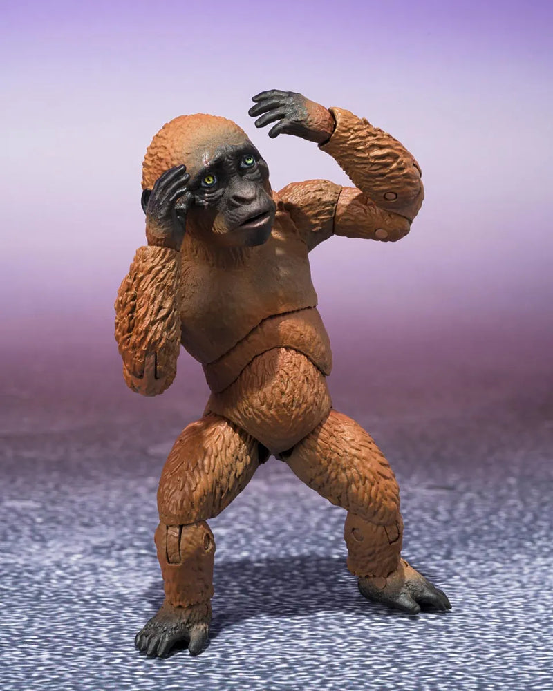 Godzilla x Kong: The New Empire S.H.MonsterArts - Suko & Mothra - Collectables > Action Figures > toys -  Bandai