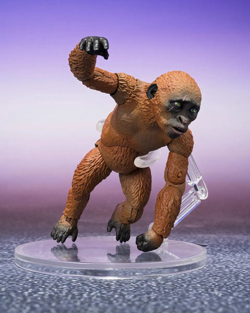 Godzilla x Kong: The New Empire S.H.MonsterArts - Suko & Mothra - Collectables > Action Figures > toys -  Bandai