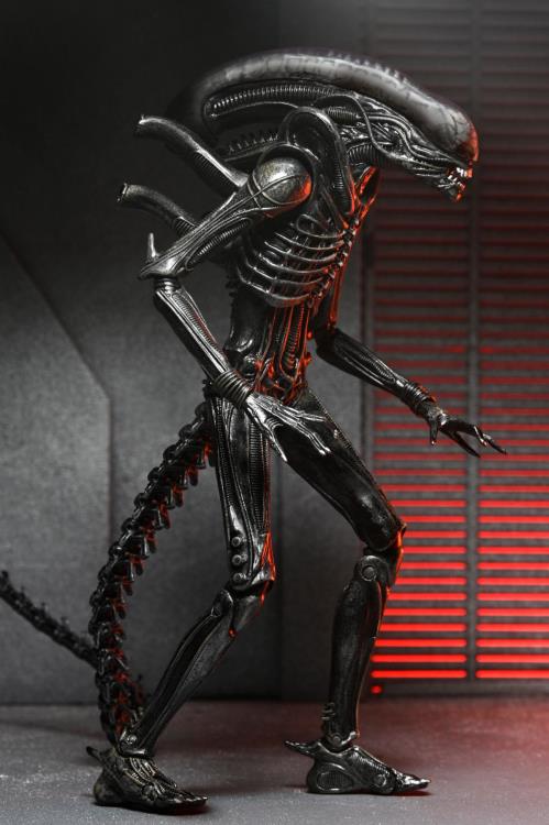 Alien: Romulus Ultimate Xenomorph XX121 ( Preorder Q4 2025) - Collectables > Action Figures > toys -  Neca