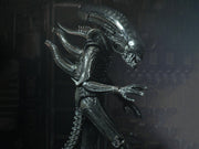 Neca - Alien - Ultimate 40th Anniversary Big Chap - Action & Toy Figures -  Neca